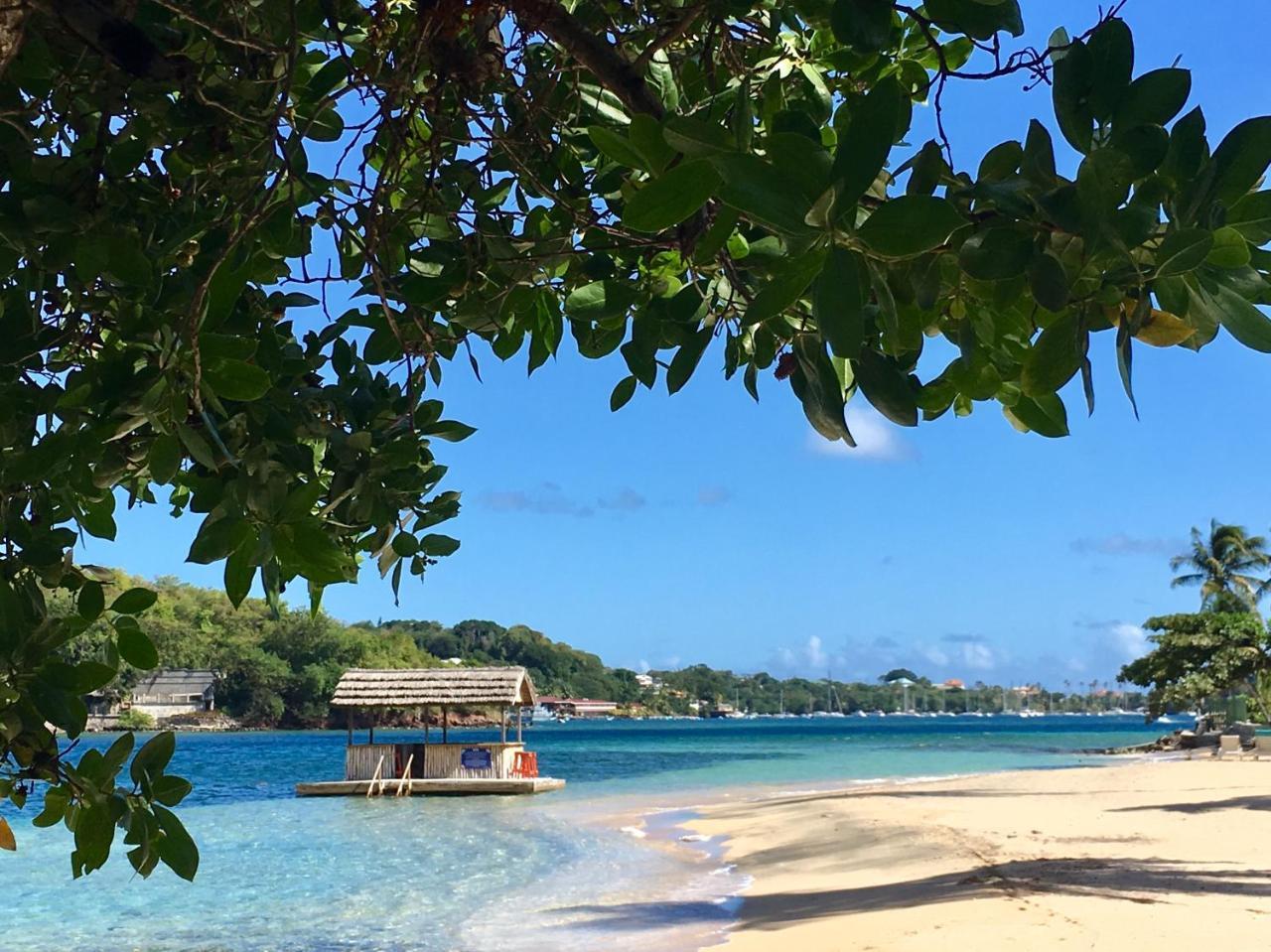 Young Island Resort Calliaqua Bagian luar foto